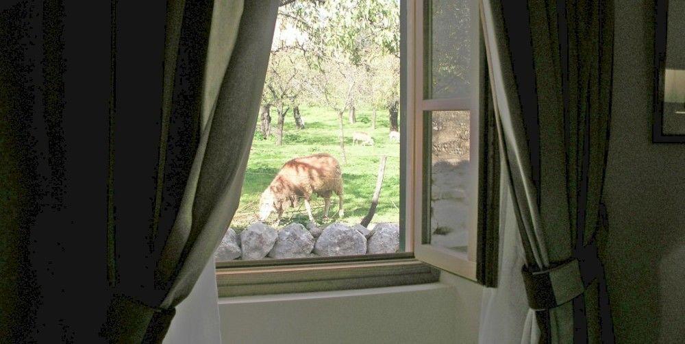 S'Hort De Cas Misser Boutique Hotel (Adults Only) El Port de la Selva Exterior photo